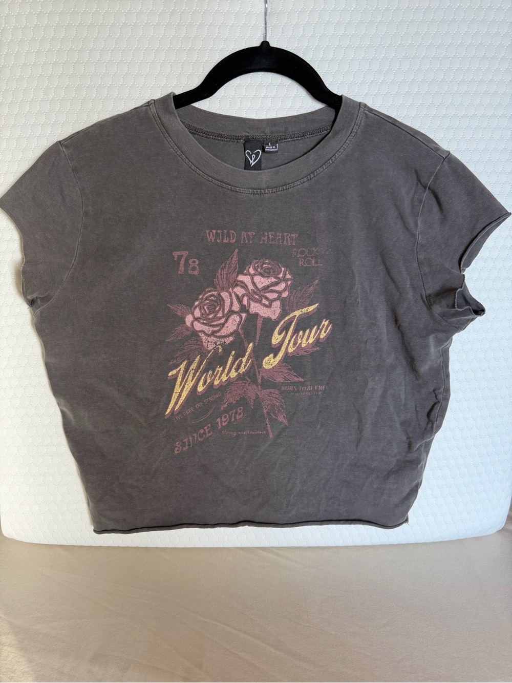 Windsor Vintage-Inspired Gray Graphic Crop Tee with Rose Print - Women's Top